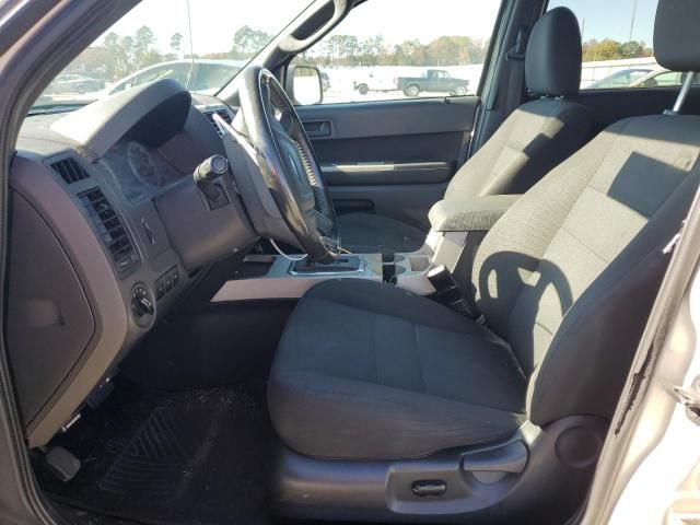 2009 Ford Escape XLT