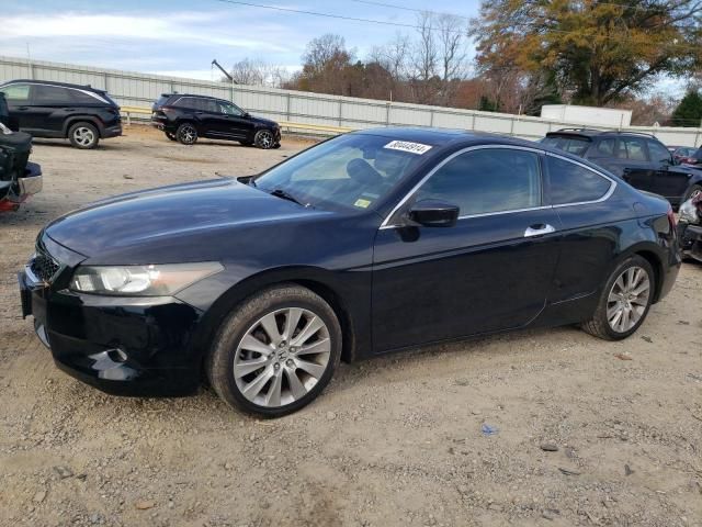 2008 Honda Accord EXL