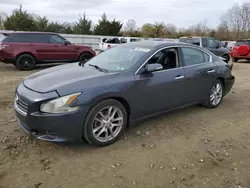 2010 Nissan Maxima S en venta en Windsor, NJ