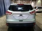 2013 Ford Escape S