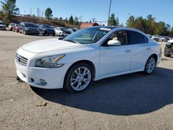 Carros sin daños a la venta en subasta: 2013 Nissan Maxima S