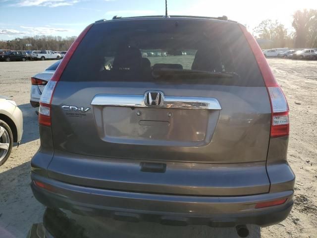 2010 Honda CR-V EXL