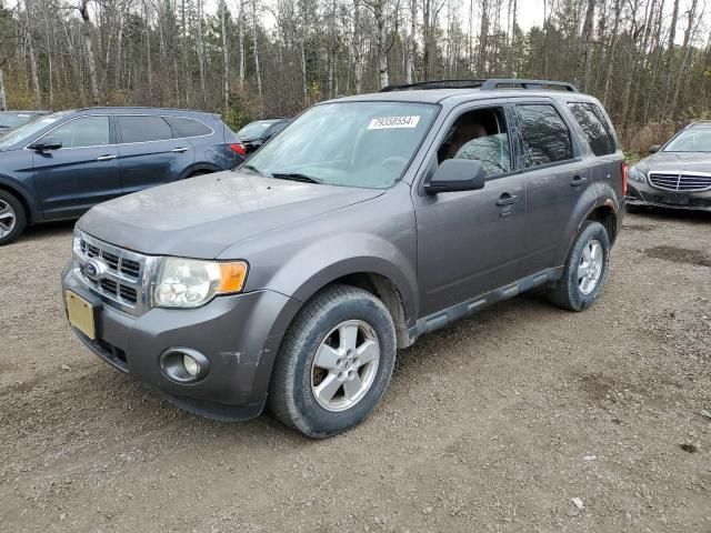 2010 Ford Escape XLT