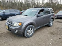 2010 Ford Escape XLT en venta en Cookstown, ON