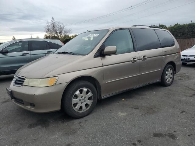 2004 Honda Odyssey EXL