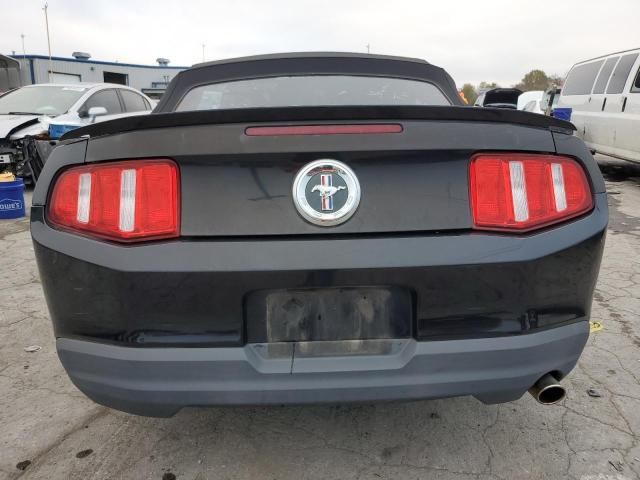 2010 Ford Mustang