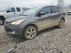 SUV salvage a la venta en subasta: 2013 Ford Escape SE