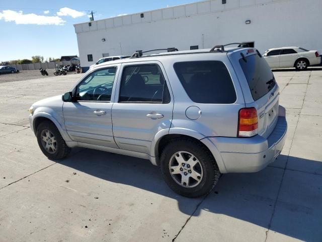 2005 Ford Escape Limited