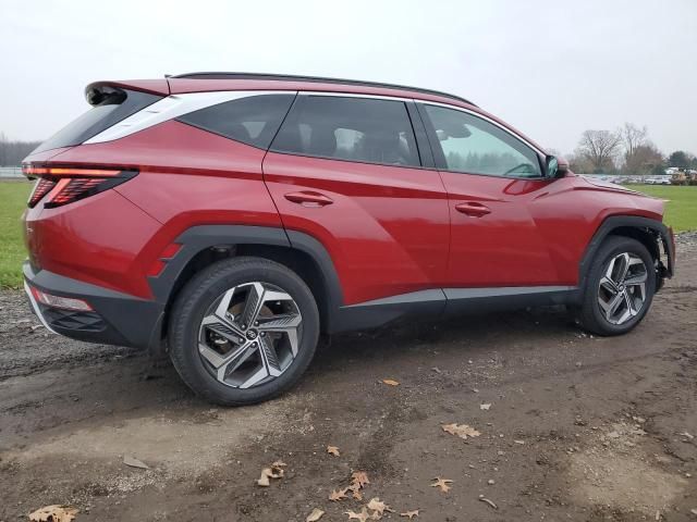 2024 Hyundai Tucson Limited