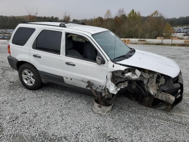 2007 Ford Escape XLT