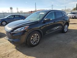 Ford salvage cars for sale: 2022 Ford Escape SE