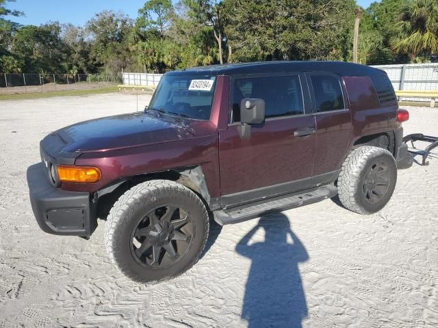 2007 Toyota FJ Cruiser