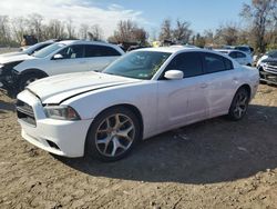 Salvage Cars with No Bids Yet For Sale at auction: 2014 Dodge Charger SE