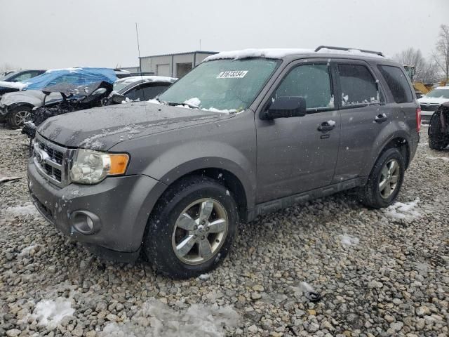 2010 Ford Escape XLT