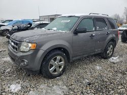 Lotes con ofertas a la venta en subasta: 2010 Ford Escape XLT