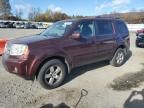 2011 Honda Pilot EXL