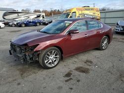 Salvage cars for sale at Pennsburg, PA auction: 2011 Nissan Maxima S