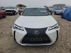 2019 Lexus UX 250H