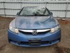 2010 Honda Civic EX