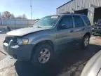 2006 Ford Escape XLT