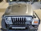 2002 Jeep Wrangler / TJ Sport