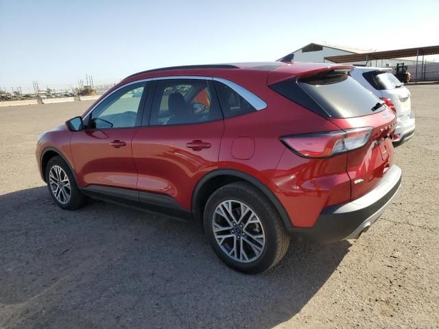 2021 Ford Escape SEL