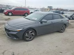 Salvage cars for sale at Indianapolis, IN auction: 2024 Hyundai Elantra Limited