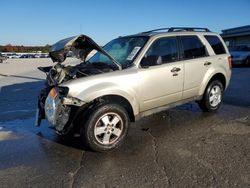 Vehiculos salvage en venta de Copart Memphis, TN: 2010 Ford Escape XLT