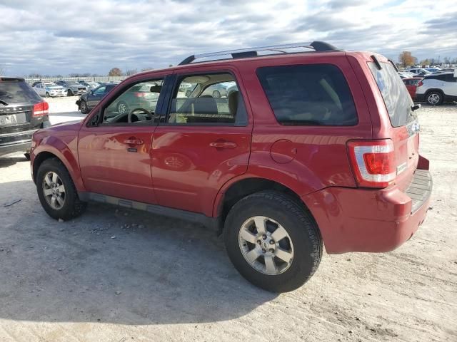 2011 Ford Escape Limited