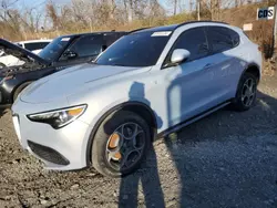 Salvage cars for sale at Marlboro, NY auction: 2022 Alfa Romeo Stelvio TI