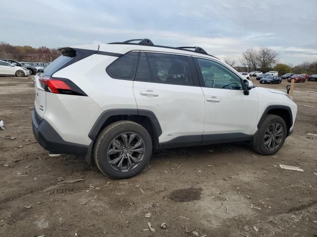 2024 Toyota Rav4 XLE Premium