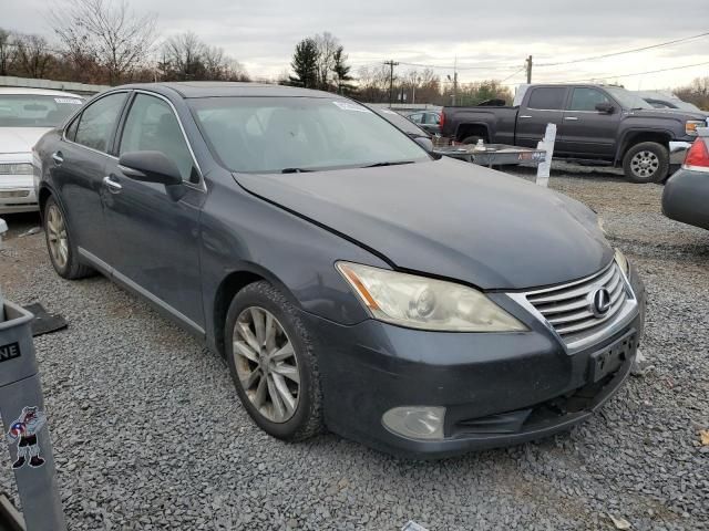 2010 Lexus ES 350