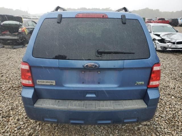 2010 Ford Escape XLT