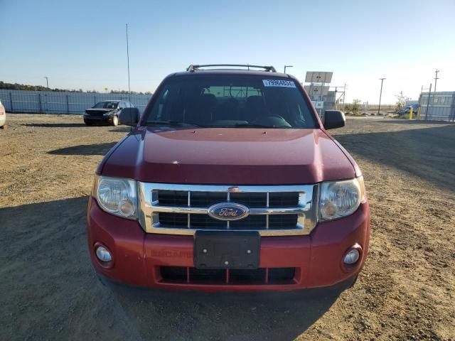 2009 Ford Escape XLT