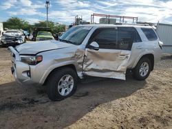 Salvage SUVs for sale at auction: 2024 Toyota 4runner SR5/SR5 Premium