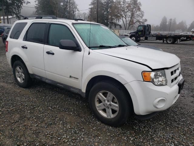 2009 Ford Escape Hybrid