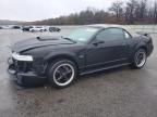 2001 Ford Mustang GT