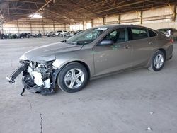 Chevrolet Malibu salvage cars for sale: 2024 Chevrolet Malibu LS