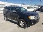 2008 Ford Escape XLT