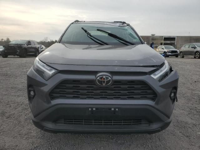 2024 Toyota Rav4 XLE Premium