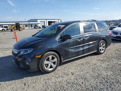 Salvage cars for sale at Lumberton, NC auction: 2018 Honda Odyssey EXL