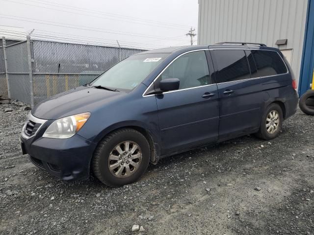 2009 Honda Odyssey EXL