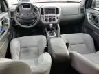 2005 Ford Escape XLT