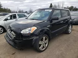 2011 KIA Soul + en venta en Bowmanville, ON