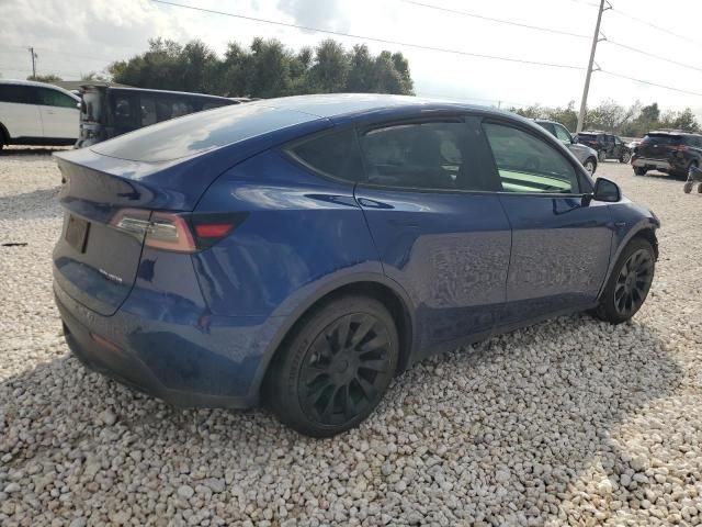 2020 Tesla Model Y