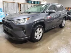 Salvage cars for sale at Elgin, IL auction: 2019 Toyota Rav4 XLE