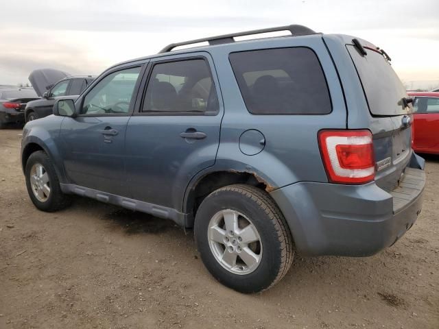 2010 Ford Escape XLT