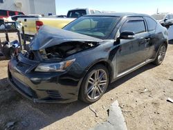 Salvage cars for sale at Tucson, AZ auction: 2013 Scion TC