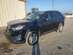 Salvage cars for sale at Temple, TX auction: 2021 Toyota Rav4 XLE