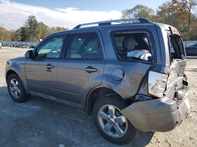 2011 Ford Escape Limited